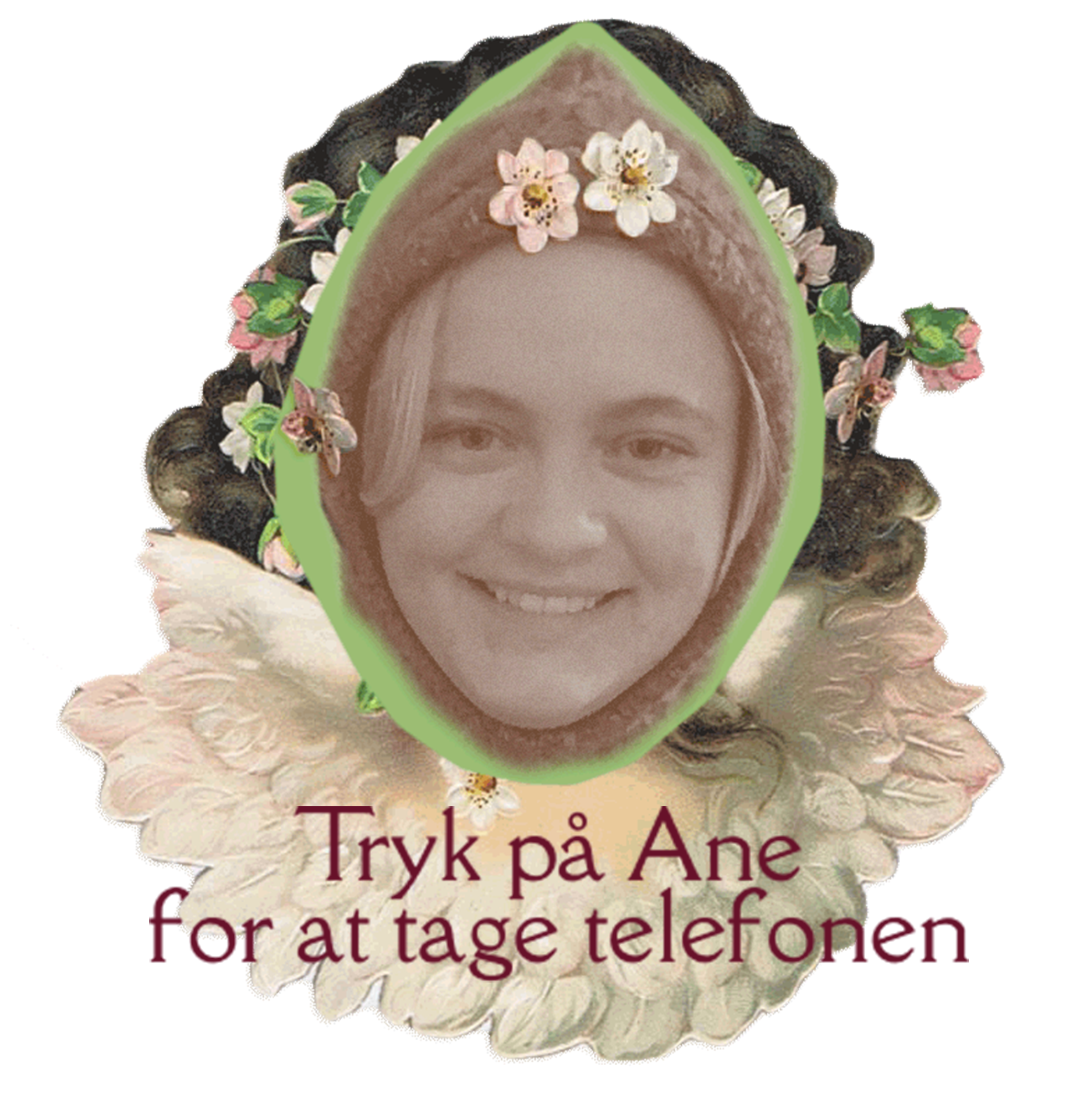 Ane billede